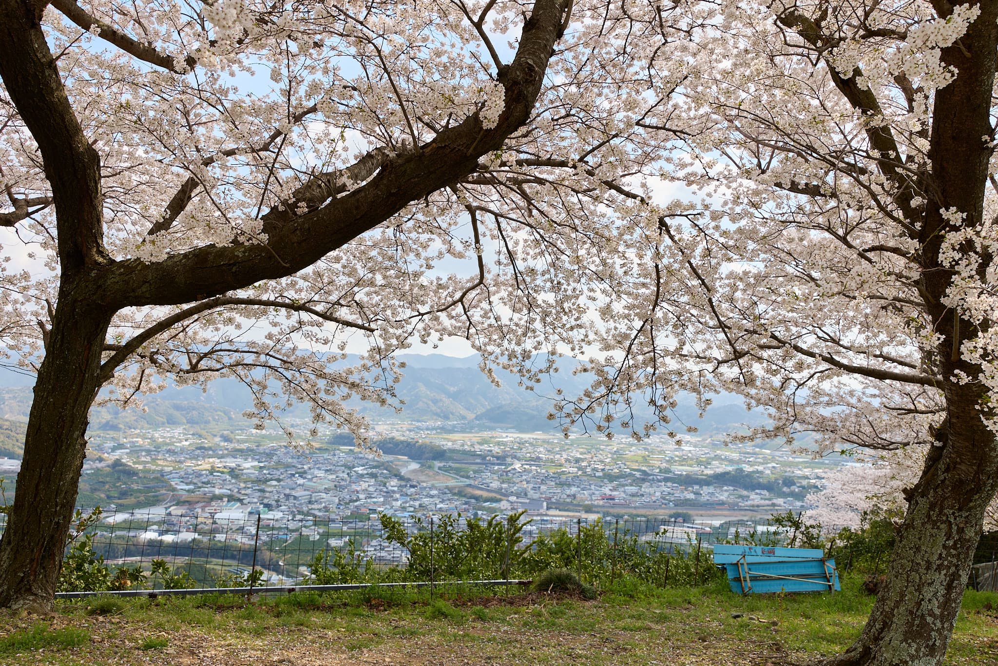 有田川町の町並み